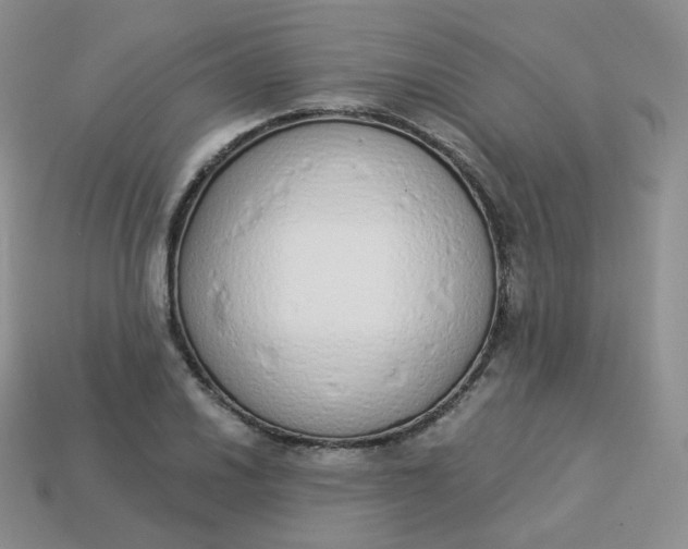 X0000114031030200910161815