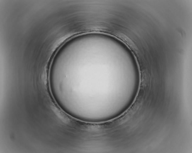 X0000114031031200910161815