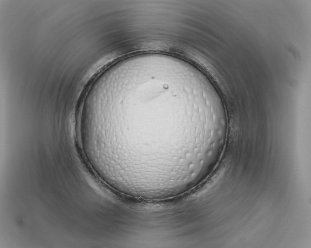 X0000114031034200910161815