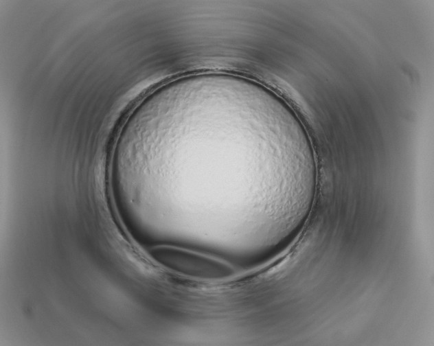 X0000114031035200910161815