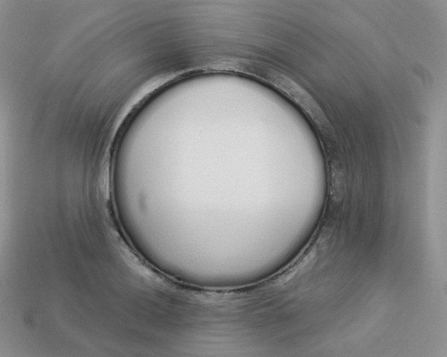 X0000114031036200910161815