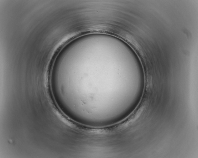 X0000114031037200910161815