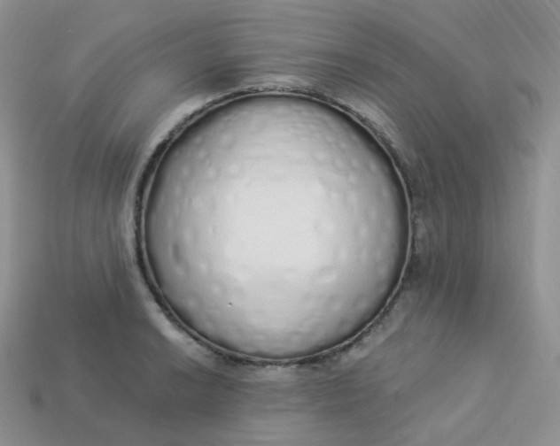 X0000114031038200910161815