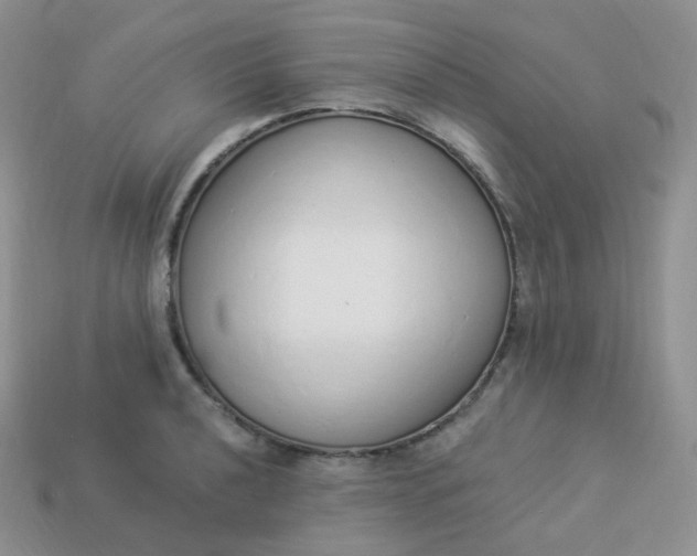 X0000114031040200910161815