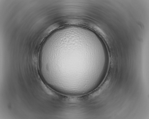 X0000114031041200910161815