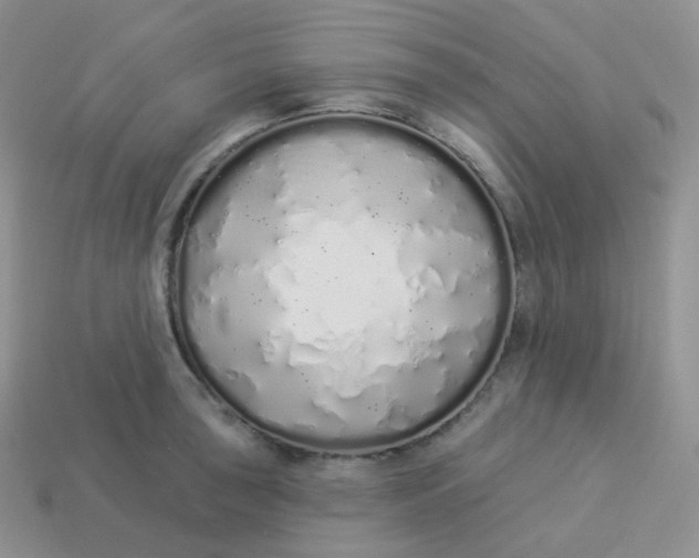 X0000114031043200910161815