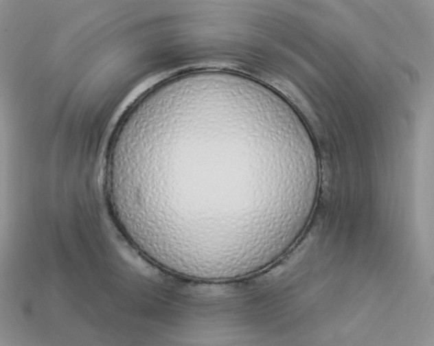 X0000114031044200910161815