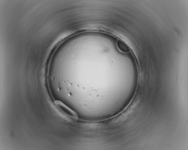 X0000114031045200910161815