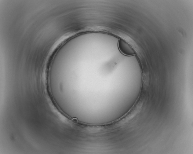 X0000114031046200910161815