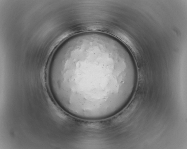 X0000114031047200910161815