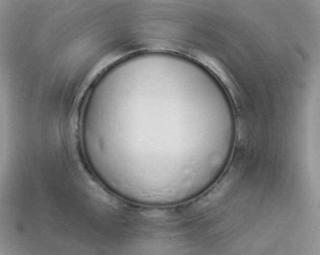 X0000114031048200910161815