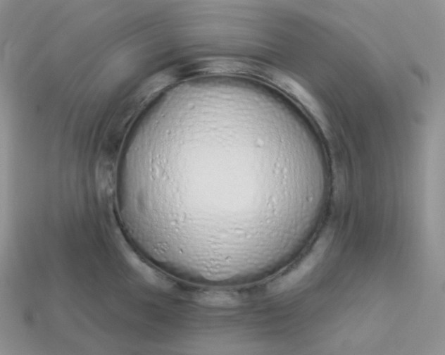 X0000114031049200910161815