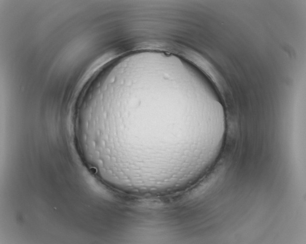 X0000114031050200910161815