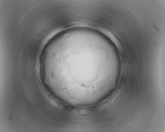 X0000114031051200910161815