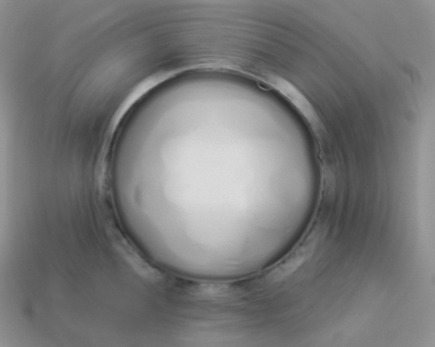 X0000114031052200910161815