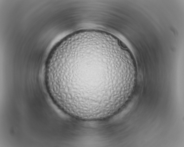 X0000114031053200910161815