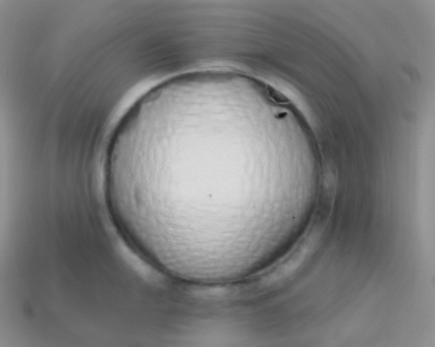 X0000114031054200910161815