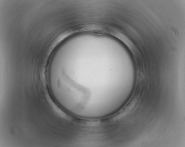 X0000114031055200910161815