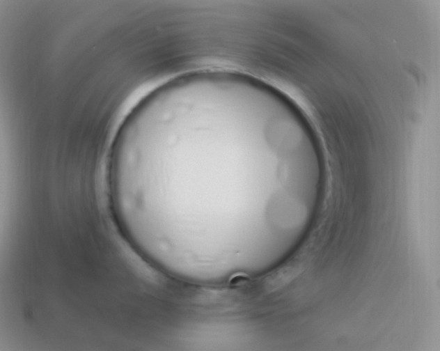 X0000114031056200910161815