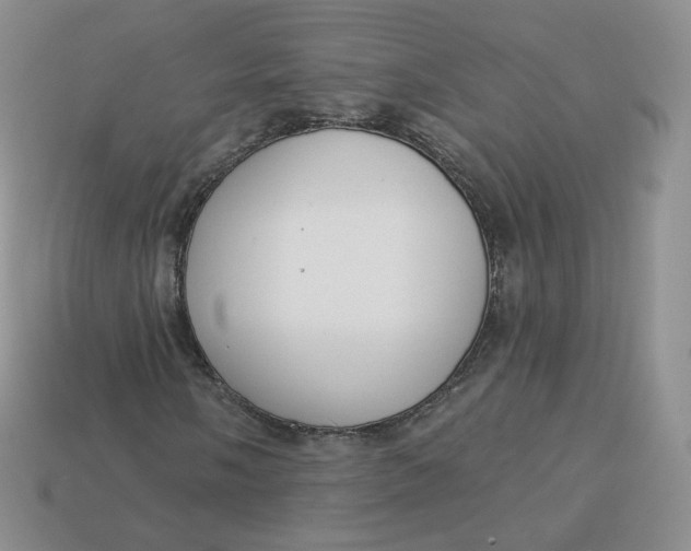 X0000114031058200910161814