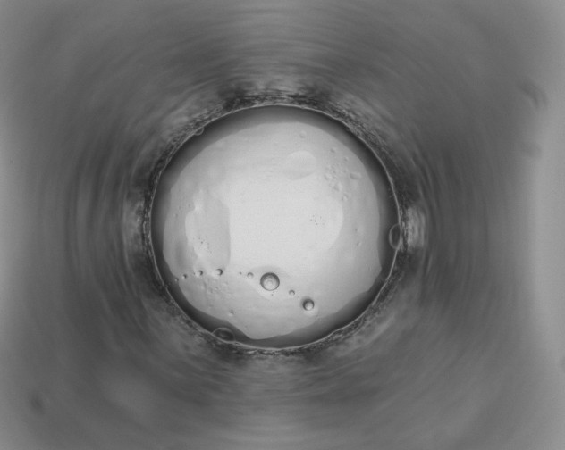 X0000114031059200910161814