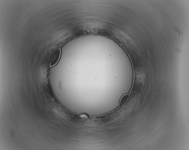 X0000114031060200910161814