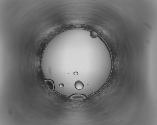 X0000114031062200910161814