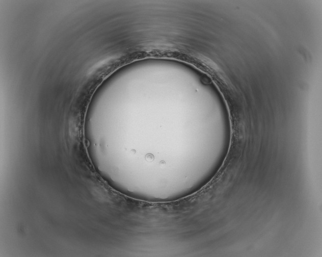 X0000114031063200910161814