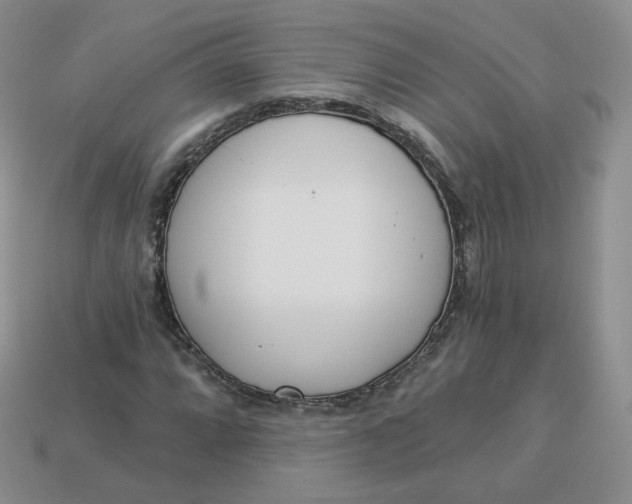 X0000114031064200910161814