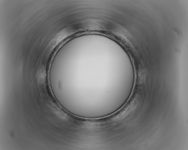 X0000114031065200910161814