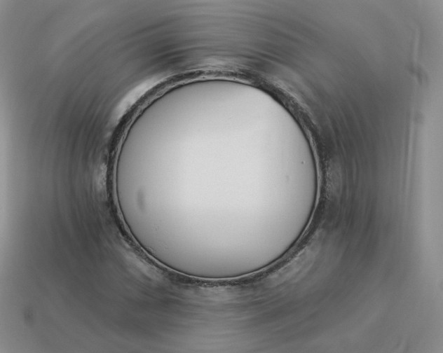 X0000114031066200910161814