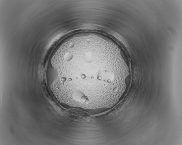 X0000114031067200910161814