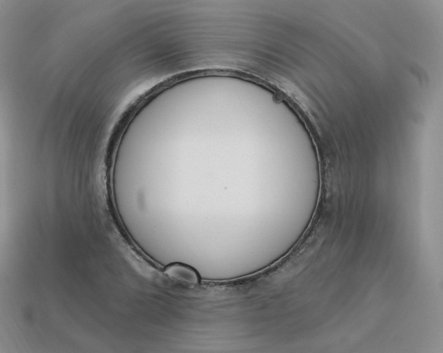 X0000114031072200910161814