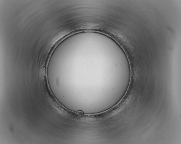 X0000114031073200910161814