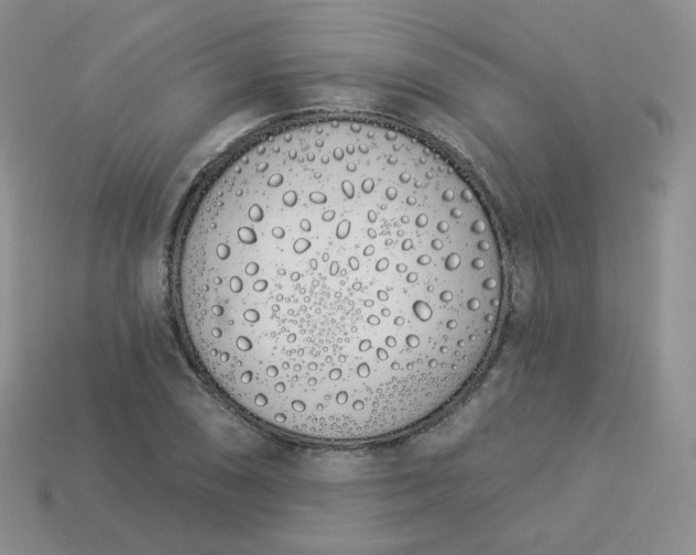 X0000114031074200910161814