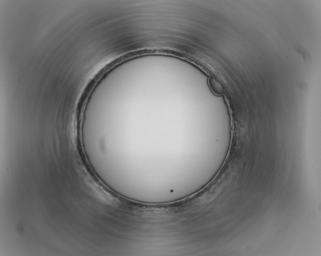 X0000114031076200910161814