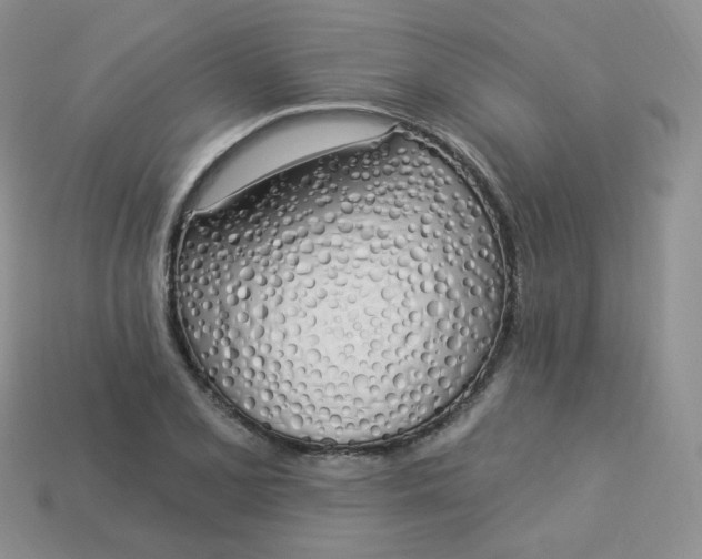 X0000114031077200910161814