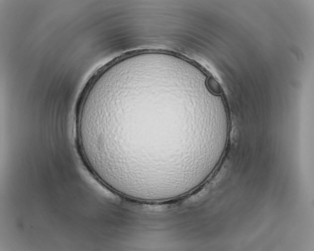 X0000114031080200910161814