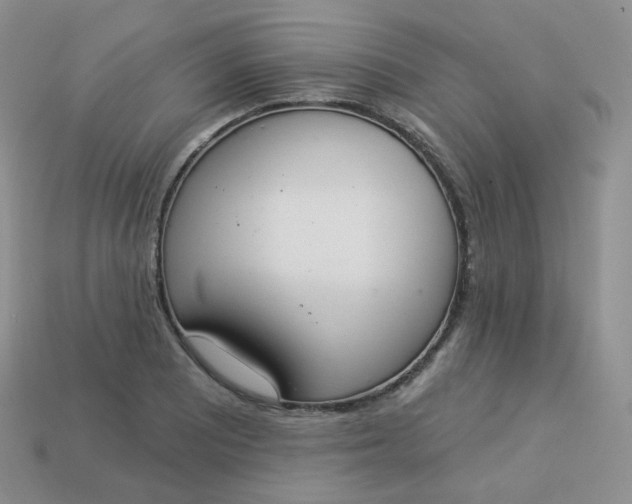 X0000114031081200910161814