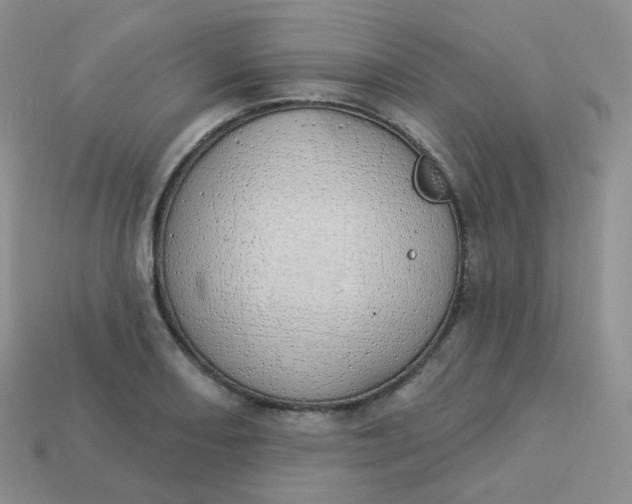 X0000114031082200910161814