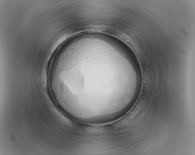 X0000114031083200910161814