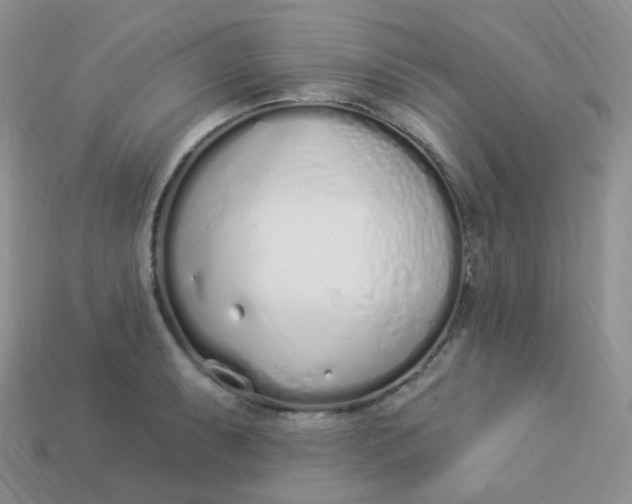 X0000114031087200910161814