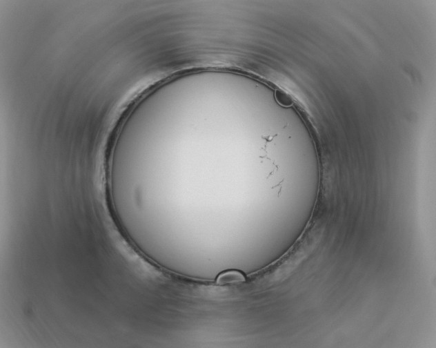 X0000114031088200910161814