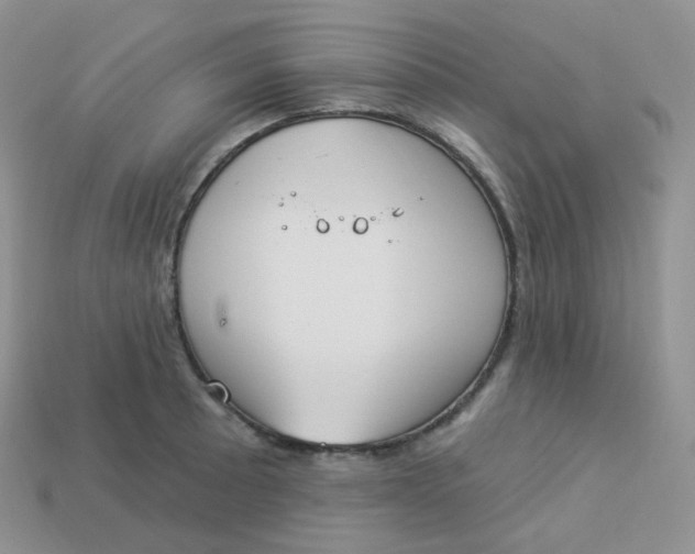 X0000114031089200910161814