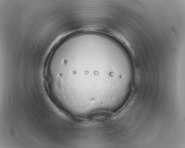 X0000114031091200910161814