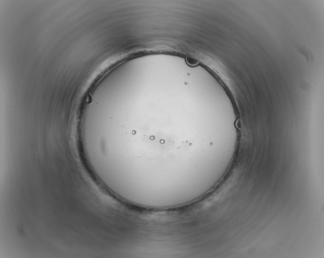 X0000114031093200910161814