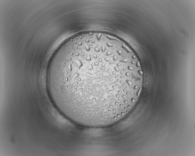 X0000114031094200910161814