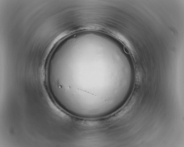 X0000114031095200910161814