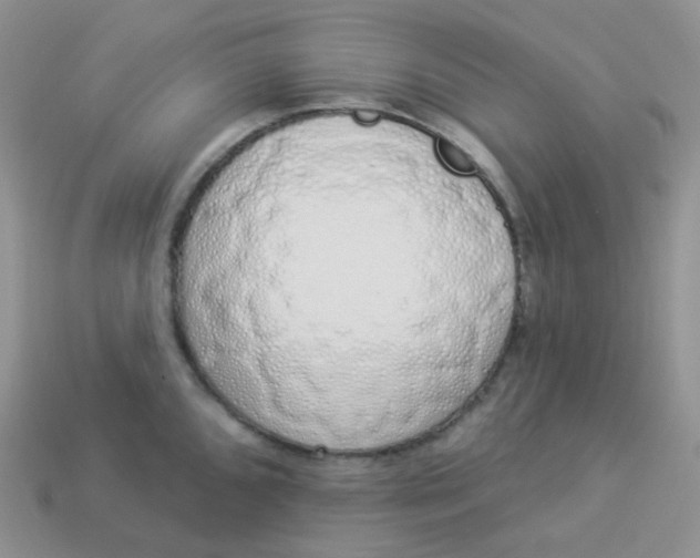 X0000114031096200910161814