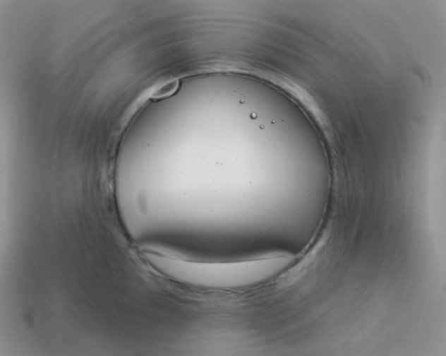 X0000114031097200910161814